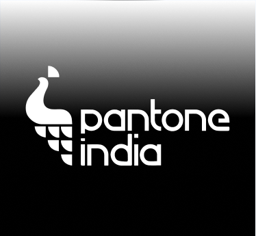 Pantone India client logo