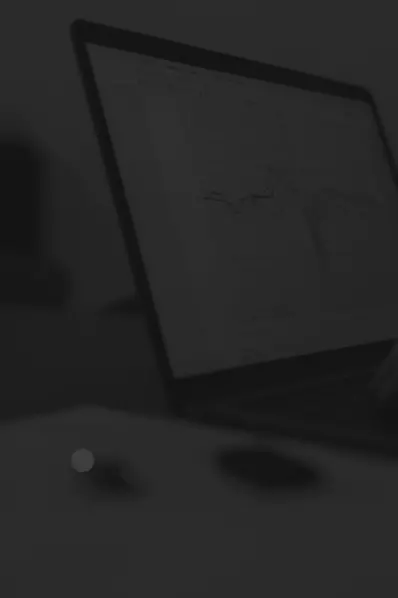 IT and software consulting services by Snowfinch Consulting