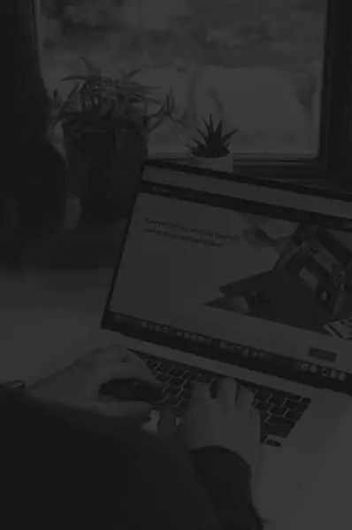 Website development services by Snowfinch Consulting