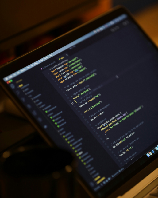 Advanced web development process at Snowfinch Consulting