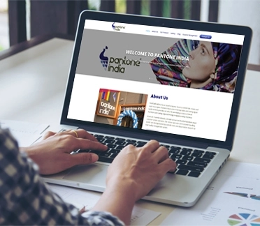 Pantone India website project by Snowfinch Consulting